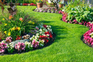 Landscaping Strategies